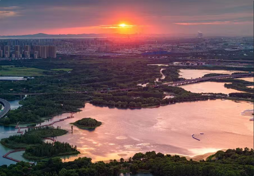 虎丘湿地公园